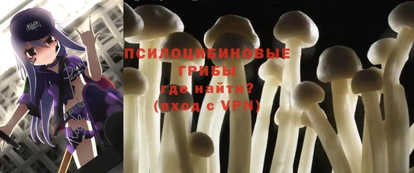 ГАЛЛЮЦИНОГЕННЫЕ ГРИБЫ Арсеньев