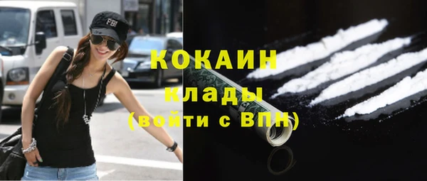 молекула духа Белокуриха