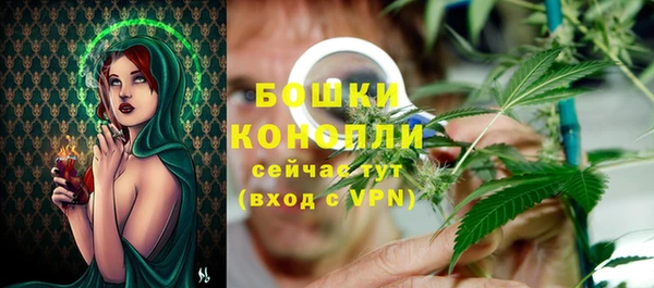 молекула духа Белокуриха