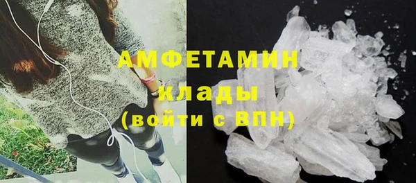 молекула духа Белокуриха