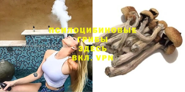 spice Беломорск