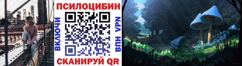Псилоцибиновые грибы ЛСД где можно купить Ясногорск